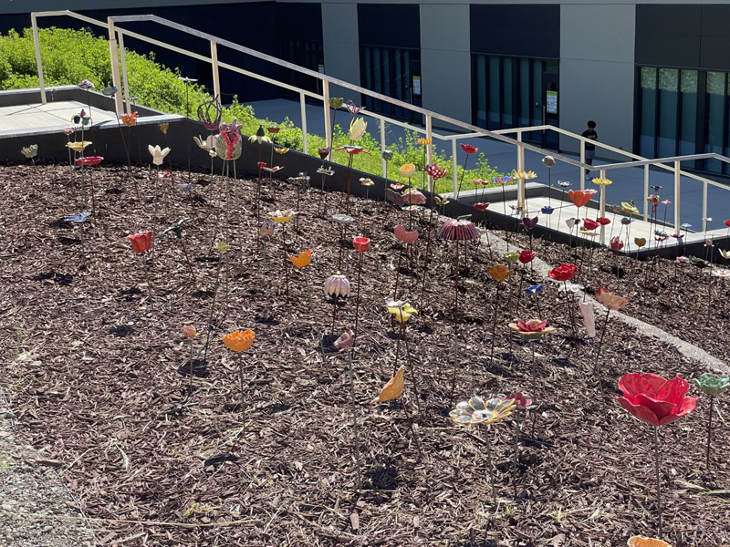 A Field of Ceramic Flowers